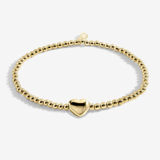 Katie Loxton Variety