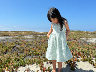 Penny Dress - Blue Dandelion Eyelet